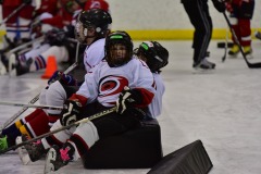 emw_20160214_132429_Cat5_Canes_0540