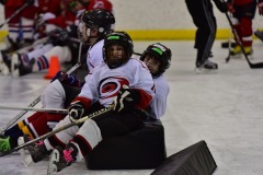 emw_20160214_132430_Cat5_Canes_0541