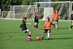 emw_20160827_180526_CASL_0796