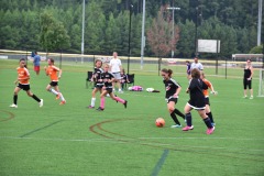 emw_20160827_181746_CASL_0895