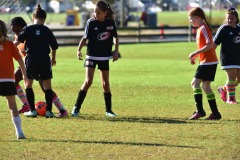 emw_20161029_102019_CASL_0145