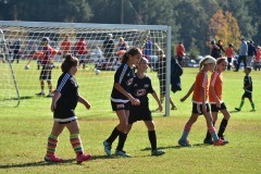 emw_20161029_110824_CASL_0424