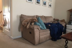 The positions that she finds comfortable are truly hilarious.