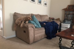 The positions that she finds comfortable are truly hilarious.
