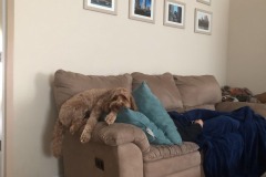 The positions that she finds comfortable are truly hilarious.
