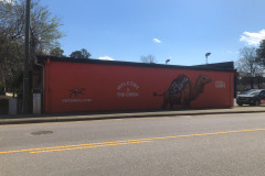Finally getting a good shot of the mural...