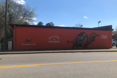 Finally getting a good shot of the mural...