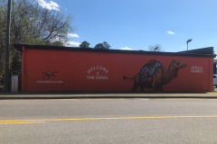 Finally getting a good shot of the mural...