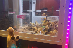 First time I ever won anything out of the claw game...