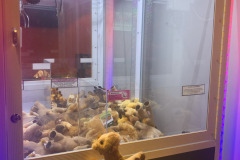 First time I ever won anything out of the claw game...