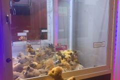 First time I ever won anything out of the claw game...