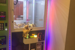 First time I ever won anything out of the claw game...