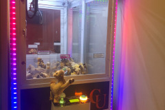 First time I ever won anything out of the claw game...