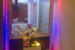 First time I ever won anything out of the claw game...