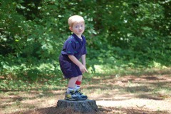 Alexander on his pedestal...