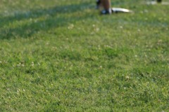 Next time, I'm standing in the <b>outfield</b>!!!