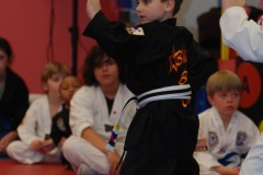 Demonstrating <B>Basic Form #3</B>...