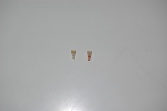 Better shot of the teeth...