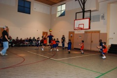 Nicholas is ready for the rebound...