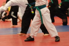 Demonstrating his form...