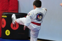 Taegeuk Chil Jang (7th form)...
