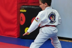 Taegeuk Chil Jang (7th form)...