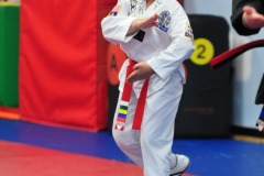 Taegeuk Chil Jang (7th form)...