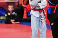 Taegeuk Chil Jang (7th form)...
