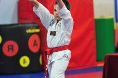 Taegeuk Chil Jang (7th form)...