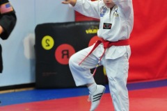 Taegeuk Chil Jang (7th form)...