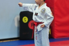Taegeuk Chil Jang (7th form)...