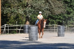 Back through the barrels...