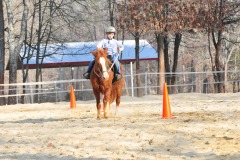 Diablo at the trot...