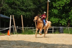 Back to the canter...