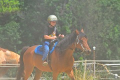 Riding the dusty trail...