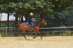 Star puts on some speed...