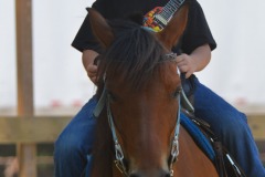 Nice profile!