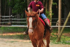 Picking up the trot...