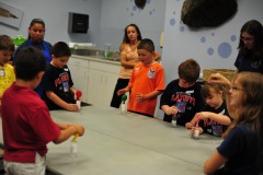Baking soda and vinegar experiment...