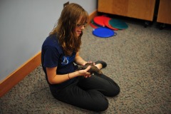 Next up...the uromastyx which is a spiny-tailed lizard!
