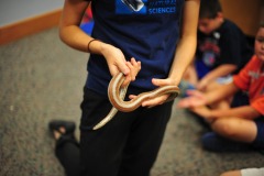 Clara and a rose-colored boa (not a constrictor!)...