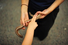 Katie feeling the boa...
