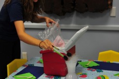 Dry ice makes for a nice centerpiece...