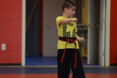Nicholas practicing form...