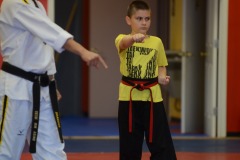 Nicholas practicing form...