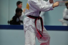 DSC_1451 DSC_1451