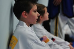 DSC_1510 DSC_1510