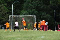 DSC_3800 DSC_3800
