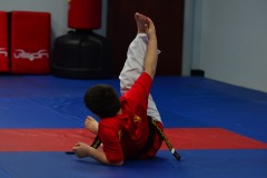 DSC_0540