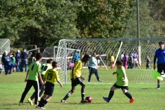 emw_20161022_105940_CASL_0352